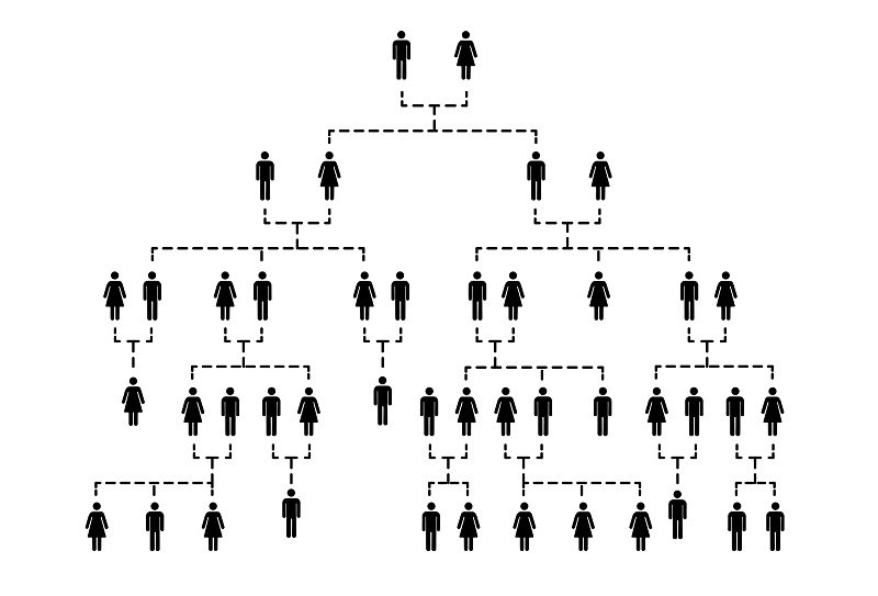 Our Family Tree: A Generational History