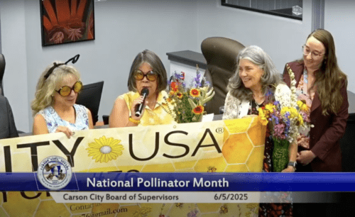 Pollinator Month 2025 Scaled.png