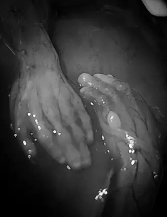Asher Roberts