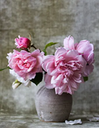 Debra Davis
