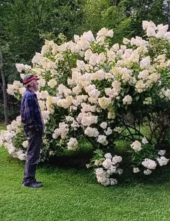 David “Chris” Cady Jr.