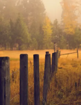 David Santa Cruz Montoya