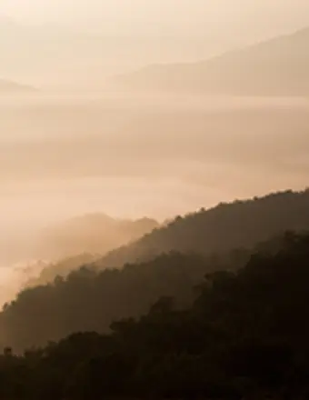 Andrew Ramos