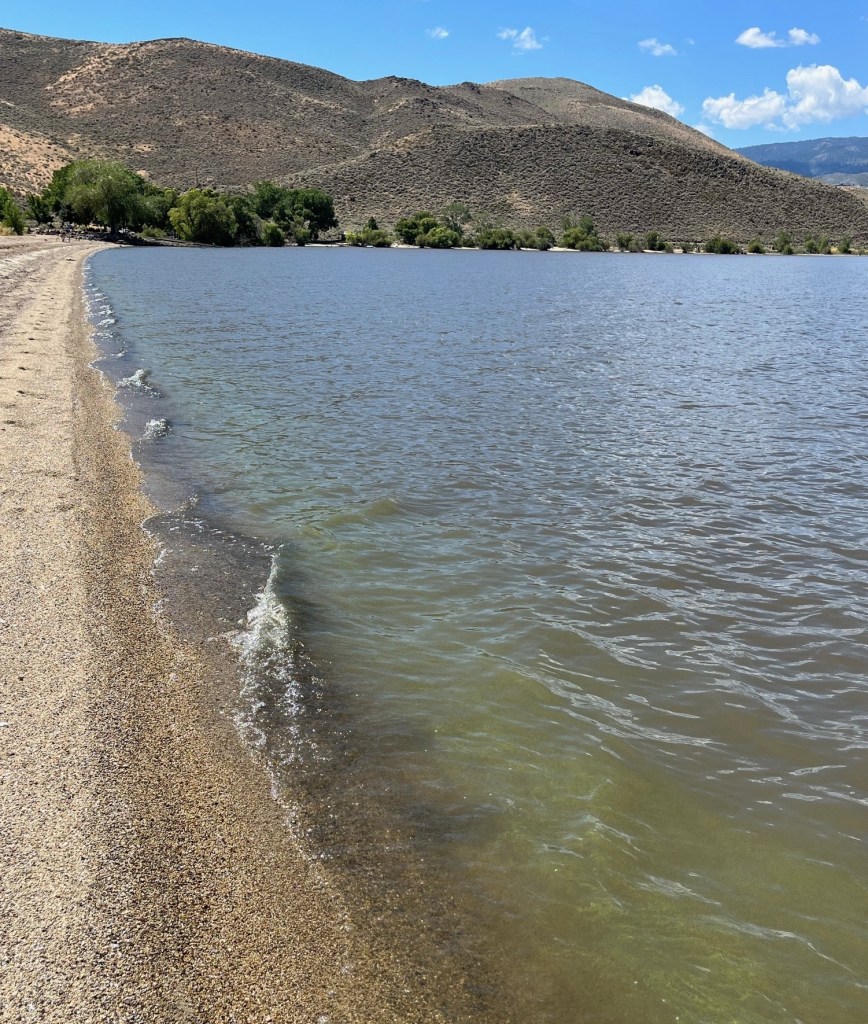 Washoe Lake under Harmful Alga Bloom Watch Advisory