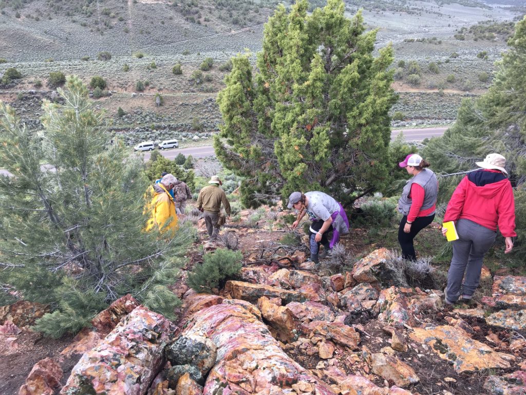 WNC Fall Geology Class Takes Students to Nevada’s Rocks, Minerals