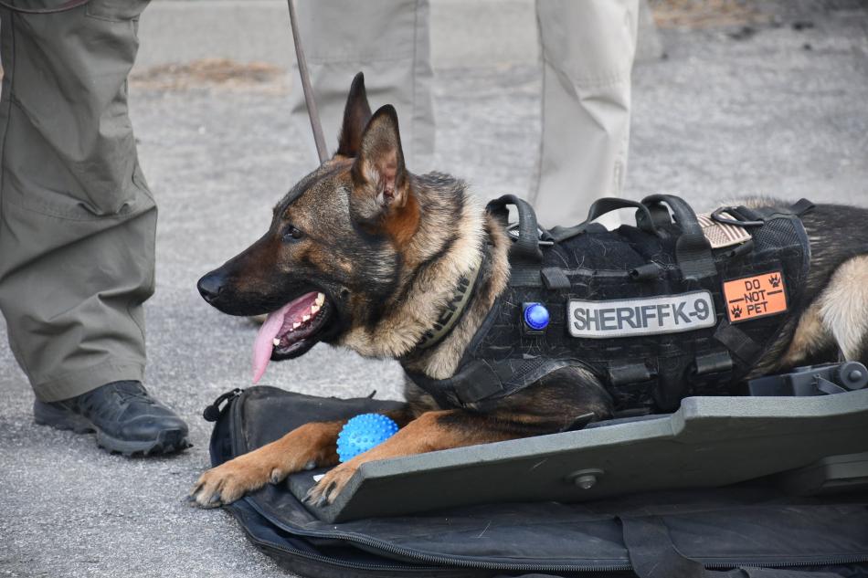 Happening today: Carson City Sheriff’s Office K9 Challenge at Fuji Park