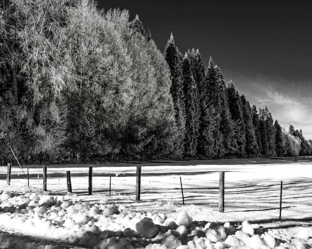 Local photographers explore black and white landscapes in Carson City Photo Club competition