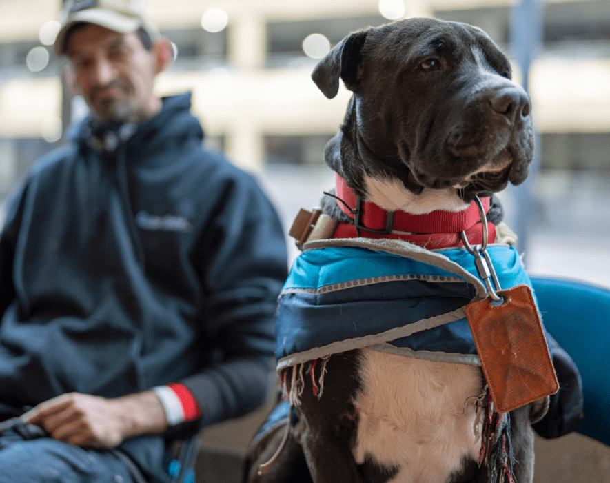 Carson City based Feeding Pets of the Homeless earns Four-Star Rating from Charity Navigator
