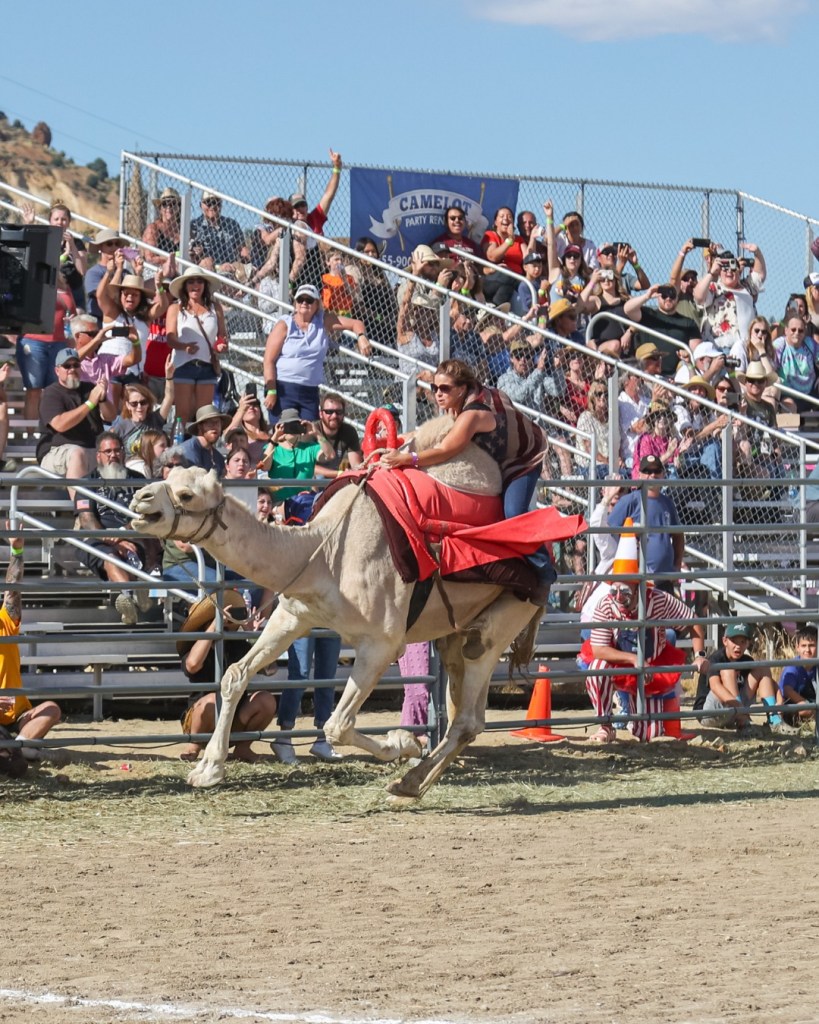 Virginia City’s 66th annual International Camel and Ostrich Races return this weekend