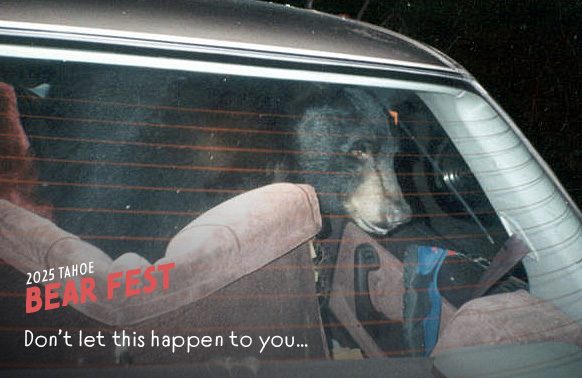 Tahoe Bear Fest returns Sept. 20 to Spooner Lake State Park