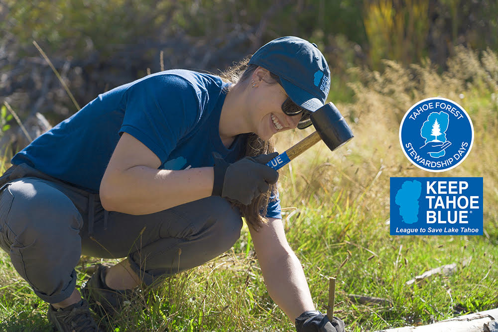 Public invited to ‘heal the land’ at 28th annual Tahoe Forest Stewardship Day