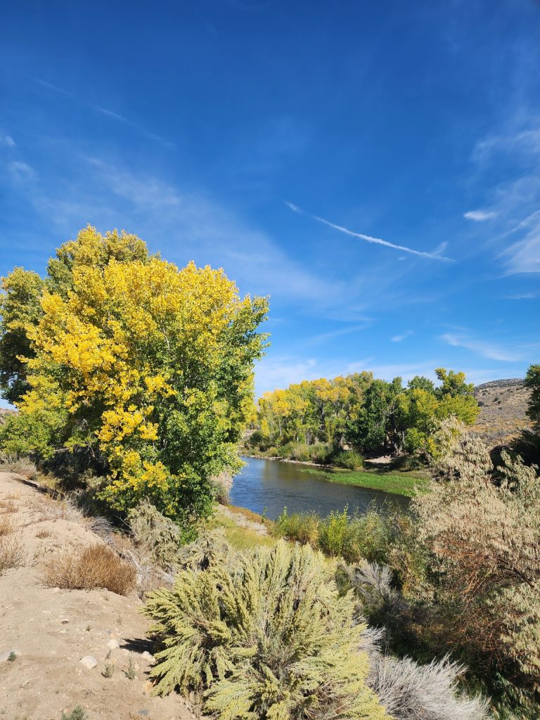 Carson City Park Ranger-led programs in October feature fall colors hike, cemetery tour