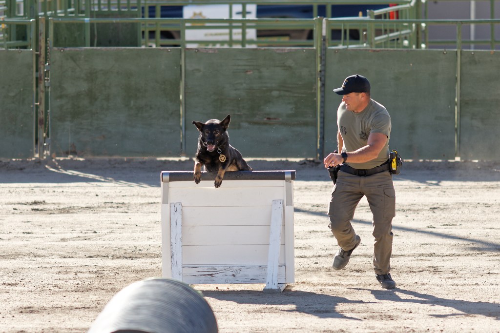 Carson City K9 Challenge results celebrate the cutest four-legged partners in law enforcement