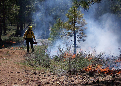 Fall prescribed fires to begin this week in the Lake Tahoe Basin