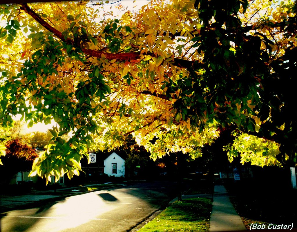 Photo: A beautiful fall afternoon in Carson City