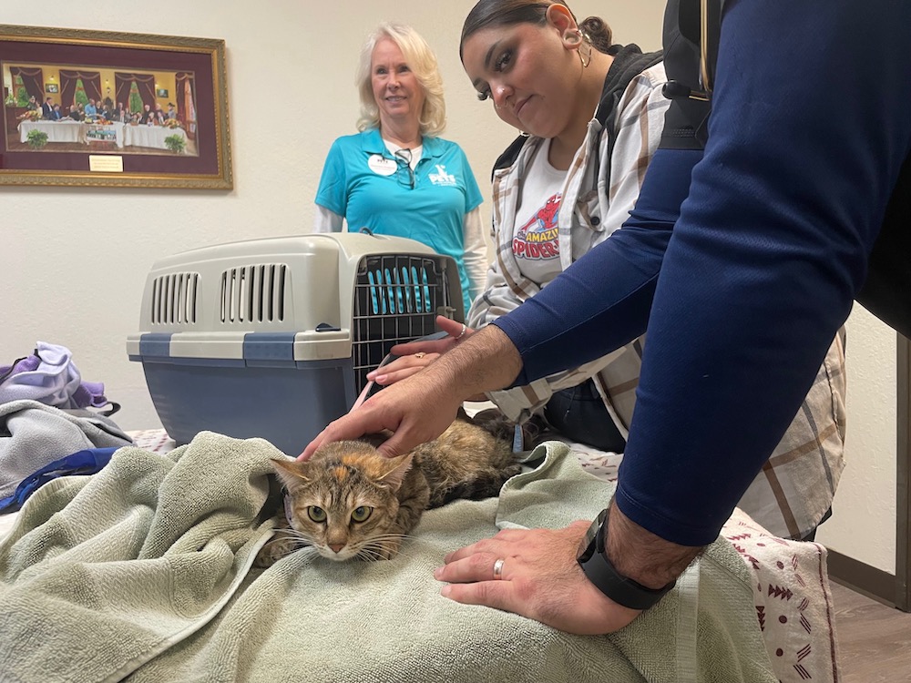 Dozens of dogs and cats treated at free Carson City wellness clinic hosted by  Feeding Pets of the Homeless