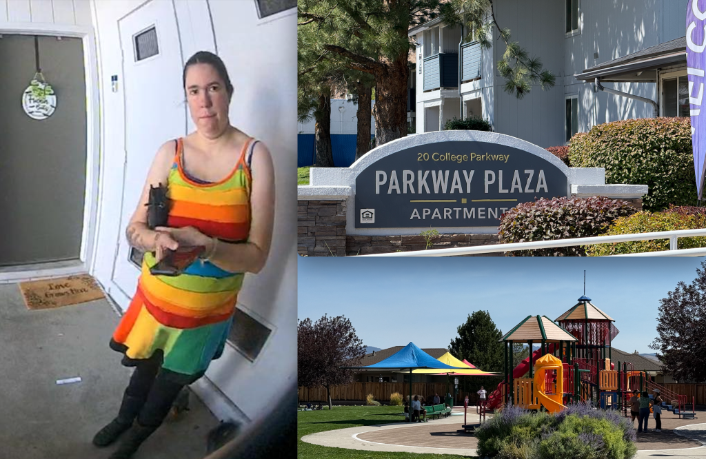 Accused Carson City kidnapper released; claims she believed she could take children and ‘they were having fun’