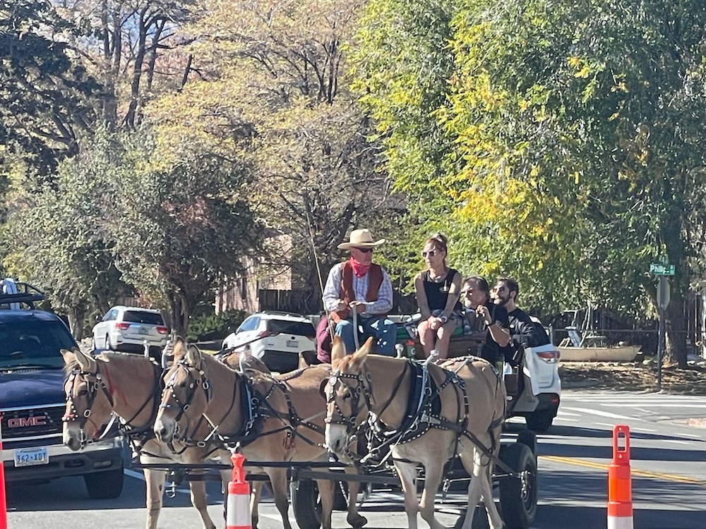 Photos: Mark Twain Days celebrated in Carson City