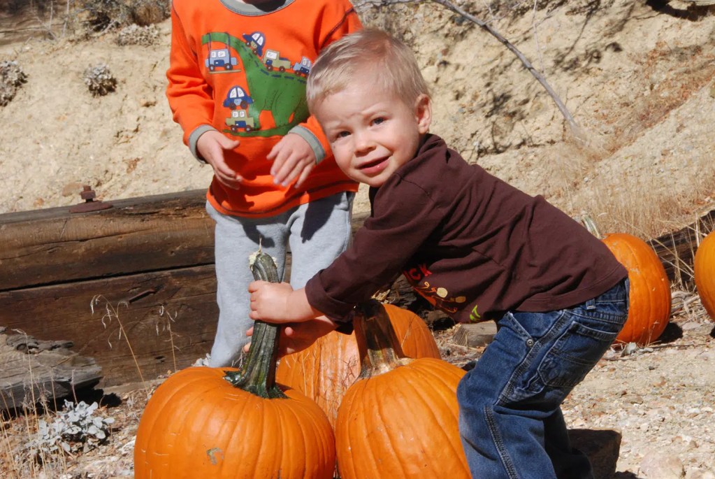 Virginia & Truckee Railroad offers Halloween trains full of pumpkins and spice
