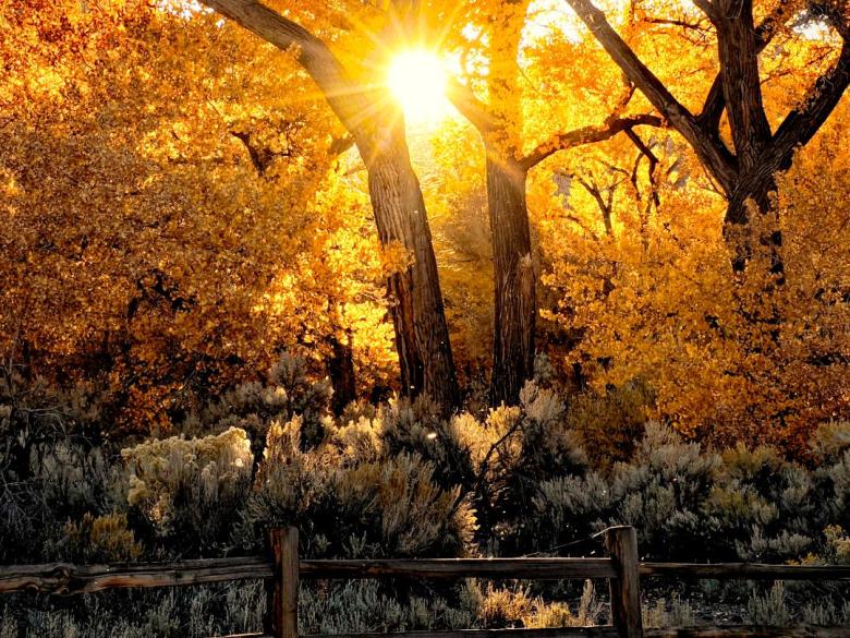 Fall brings splash of color to this month’s Carson City Photo Club competition