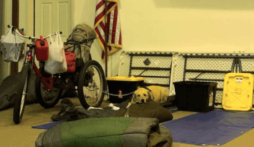 122487 Notshsleter.png