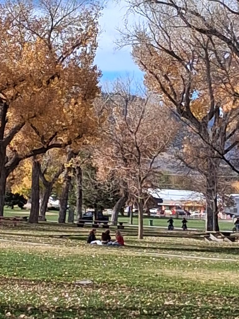 Reader photos: Wonderful walk Monday in Carson City