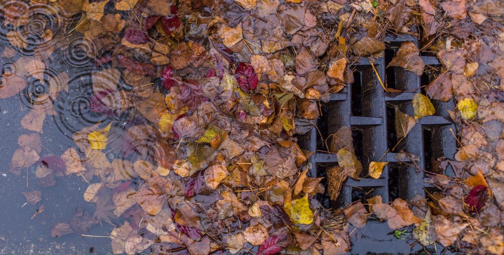 Reminder: Leaves clog storm drains; here are some ways to keep them from becoming litter 
