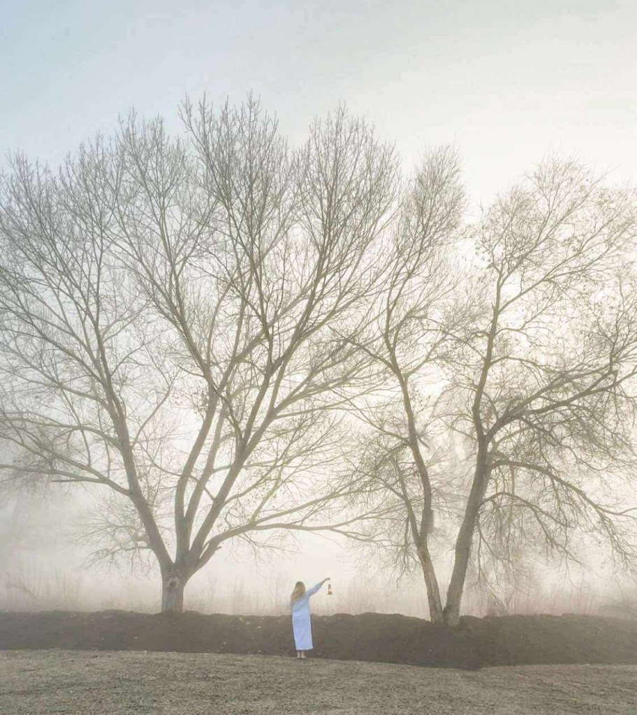 More reader fog photos turns Carson City into spooky autumnal landscape