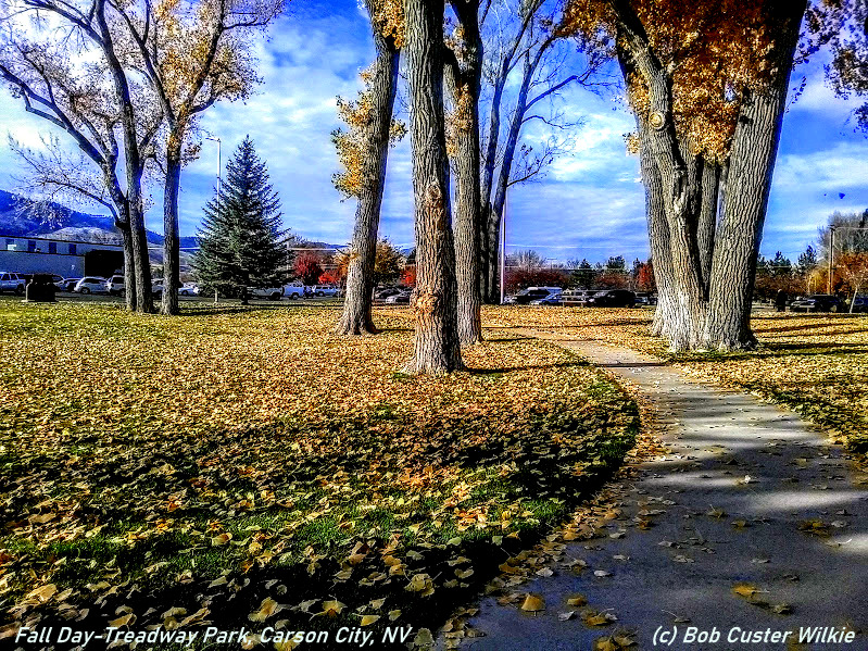 Ever wondered about Carson City’s small and scenic Treadway Park?