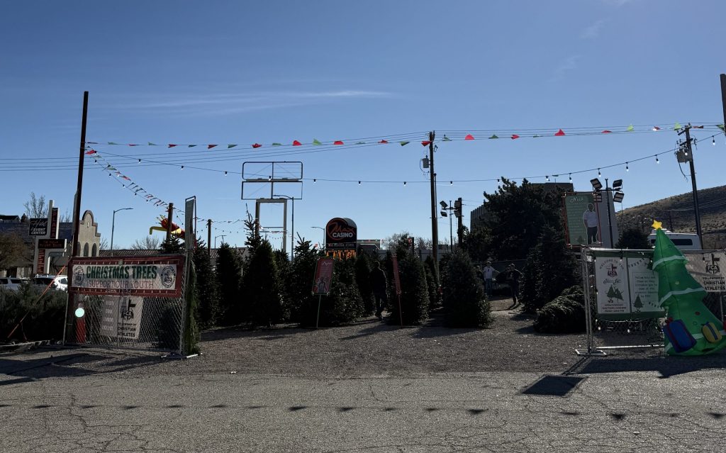 Fresh cut Christmas Tree sales in Carson City today