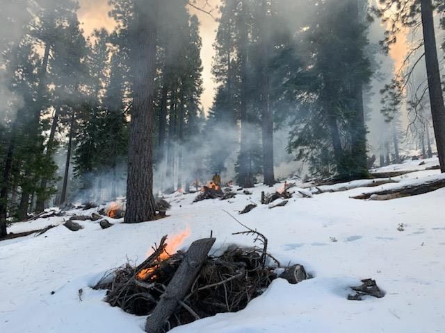 Tahoe Forest Service continues prescribed fires in ongoing fuel reduction management